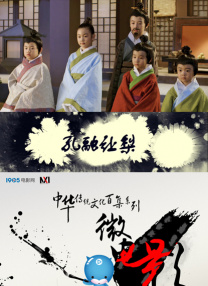 国产精品91视频